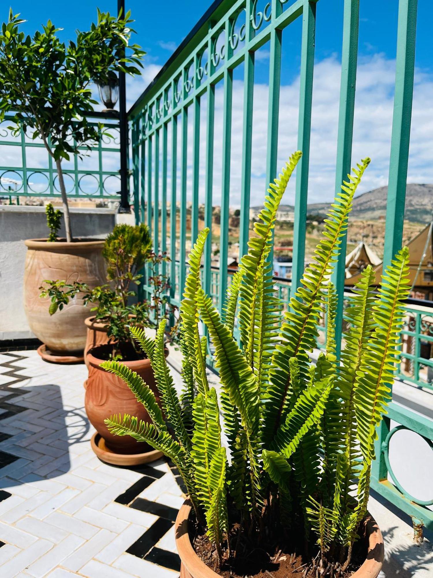 Riad Fes Miracle Екстер'єр фото