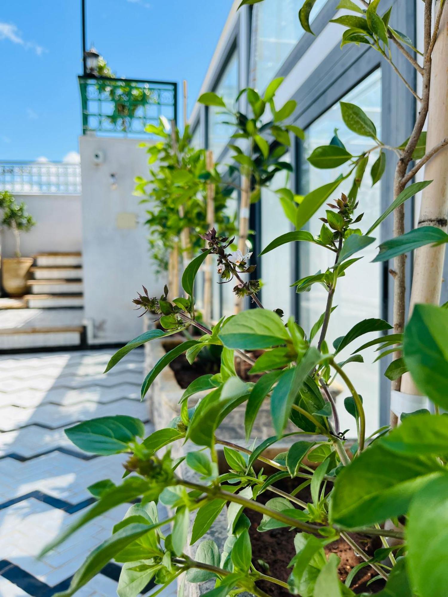 Riad Fes Miracle Екстер'єр фото